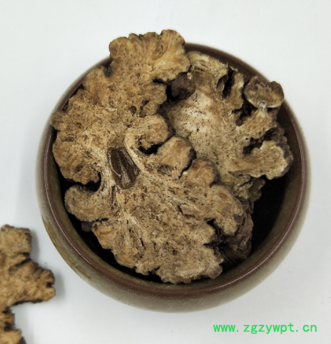 厂家直营 品质川芎 川芎切片 川穹 西芎 京芎 中药材批发图3