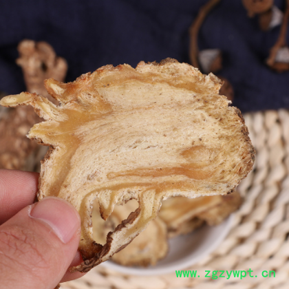 岷县中药材批发当归片 无硫当归片 全当归片产地批发甘肃当归头片图2