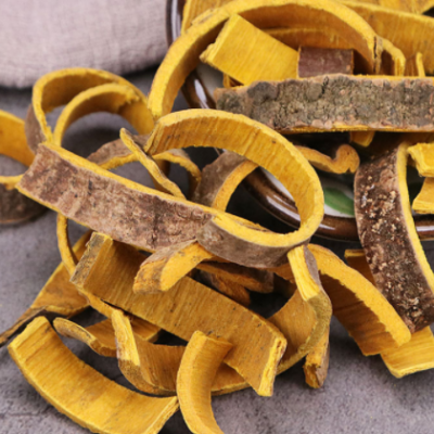 黄柏批发中药材黄柏 多种规格川黄柏量大从优承接大货黄柏