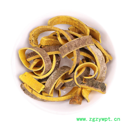 黄柏批发中药材黄柏 多种规格川黄柏量大从优承接大货黄柏图3