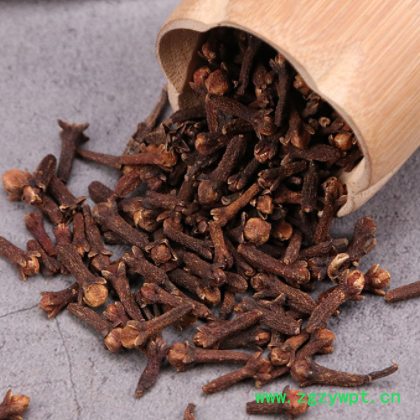 丁香批发调料香料公丁香 香料大全卤味火锅底料 丁香农副产品图2