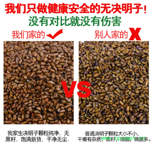 源头供货决明子玩具沙草决明枕芯填充农产品除杂抛光决明子茶批发图3