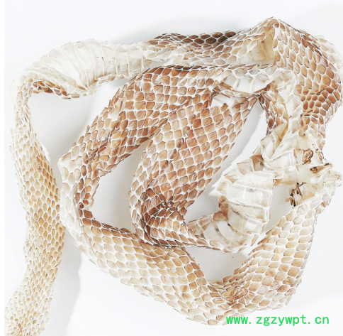 中药材蛇蜕 批发供应蛇皮 长虫皮蛇壳 龙衣龙子衣蛇衣量大从优图3