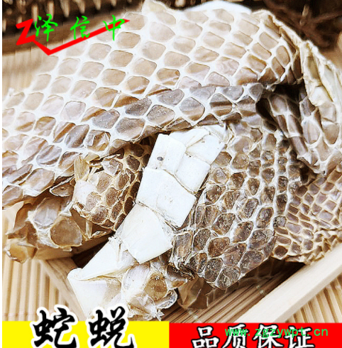 中药材蛇蜕 批发供应蛇皮 长虫皮蛇壳 龙衣龙子衣蛇衣量大从优图2