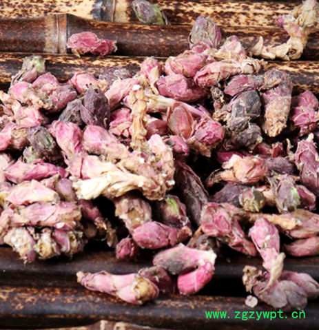 太子参 中药材批发 产地货源 大货批发 贵州 太子参 孩儿参图2