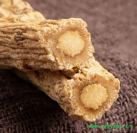 党参 中药材批发 产地货源 水洗党参段 党参 新货 量大从优