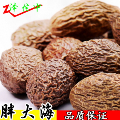 胖大海 中药材胖大海茶 产地货源大货批发 花果茶 胖大海 大海