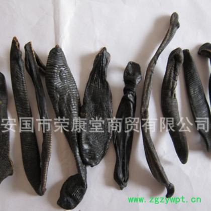 源产地货源清水吊干水蛭现货批发 蚂蝗批发图2