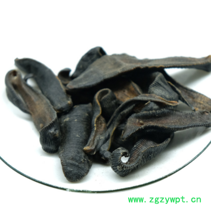 源产地货源清水吊干水蛭现货批发 蚂蝗批发图3