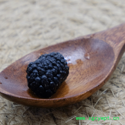 四川源产地货源黑桑葚子干果批发食用农产品无沙桑葚子500克批发图2