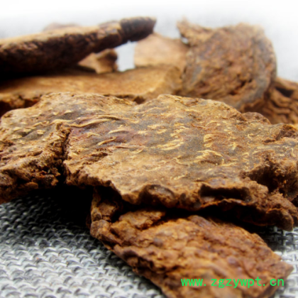 内蒙源产地货源锁阳切片批发农产品锁阳批发 锁阳批发图2