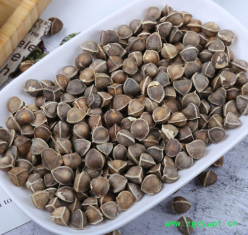 辣木籽产地直供袋装食用农产品非洲当季新货大颗粒辣木籽煲汤原料图2