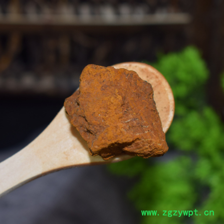 一手货源桦树茸白桦茸颗粒批发食用菌类桦树黄灵芝桦树泪量大价优图2