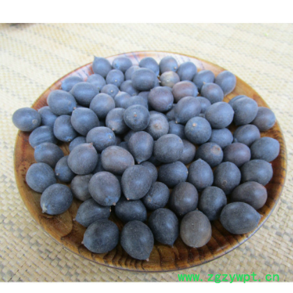 厂家供应 湘潭壳莲红莲子原材料 荷花种子原材料批发图2