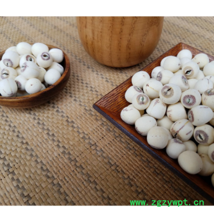 厂家供应 湘潭白莲子 带芯白莲子有心白莲子 散装送礼批发图3