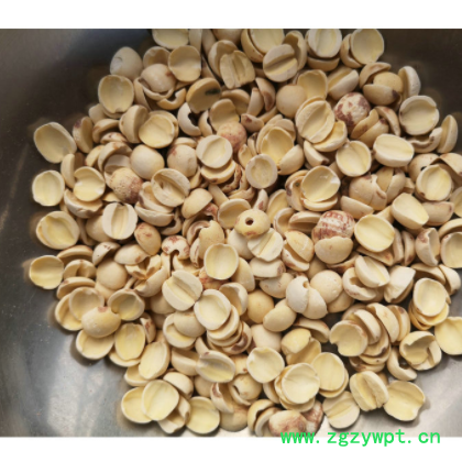 新莲村厂家供应湖南湘潭寸三莲 磨皮白碎片莲 莲子干 湘莲图3