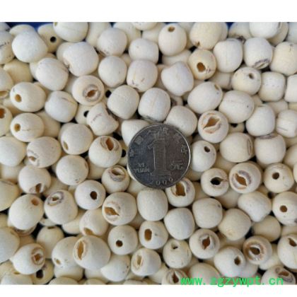 2021年新货上市 湖南特产寸三白莲子 去芯磨皮白莲子 湘莲子500克图2
