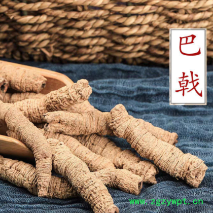 巴戟天德庆巴戟天去芯材巴戟天泡茶泡酒料滋补煲汤原料图2