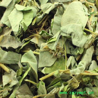 大叶金钱草 广金钱可搭配车前草鸡内金泡水干货新货图2