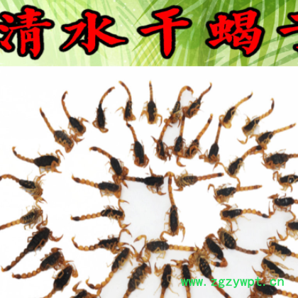 清水蝎子干蝎子蝎子十足全蝎打粉干蝎子蝎子包邮蝎子图3