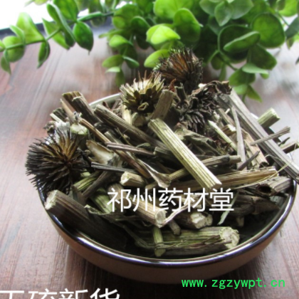 材紫锥菊500克 松果菊紫锥菊草药图2