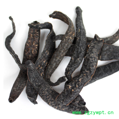 水蛭50克包邮 材水蛭吸血菲牛蛭金边蚂蟥干 磨水蛭粉图2