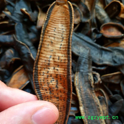 材 水蛭蚂蟥干100克 清水吊干无盐无凡干货蜈蚣蝎子图3