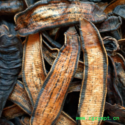 材 水蛭蚂蟥干100克 清水吊干无盐无凡干货蜈蚣蝎子图2