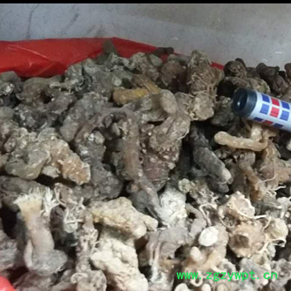 黄精条 生黄精 黄精个 1斤包邮 材安徽九华山 500g克包邮图2