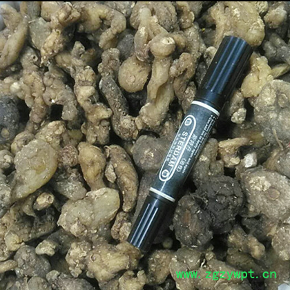 黄精条 生黄精 黄精个 1斤包邮 材安徽九华山 500g克包邮图3