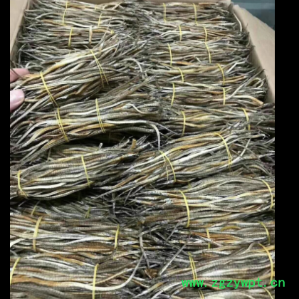 材新货小海龙 海鲜干货 500克包邮图2