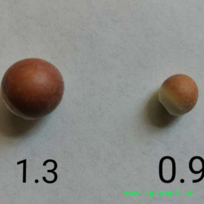 肇庆芡实红皮鸡头米50g/500g新鲜芡实粒大饱满粉糯新货图2