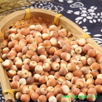 肇庆芡实红皮鸡头米50g/500g新鲜芡实粒大饱满粉糯新货图3