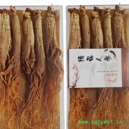 红参整根长白山红参红参可切片打粉人参高丽参人参礼盒图2