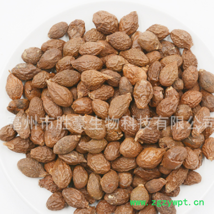 批发/花草茶/花茶/胖大海/大海/量大从优图3