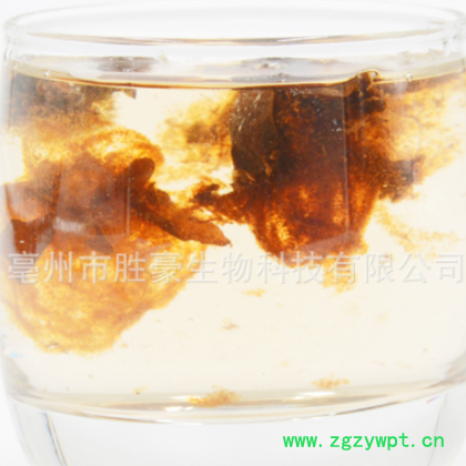 批发/花草茶/花茶/胖大海/大海/量大从优图2