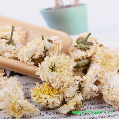 胜豪批发花草茶花茶黄山菊花贡菊菊花茶量大从优干花厂家直销图2