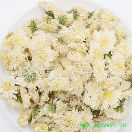 胜豪批发花草茶花茶/菊花七月菊早菊黄山菊花白菊花厂家直销图2