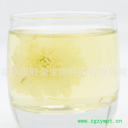 胜豪批发花草茶花茶/菊花七月菊早菊黄山菊花白菊花厂家直销图3