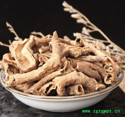 中药材批发五加皮 当季现货 货量充足 量大从优