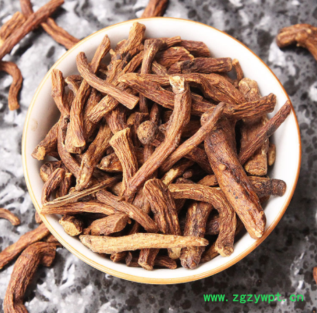 蒲公英根 源头产地 新货现货 货量充足 中药材批发量大从优图2