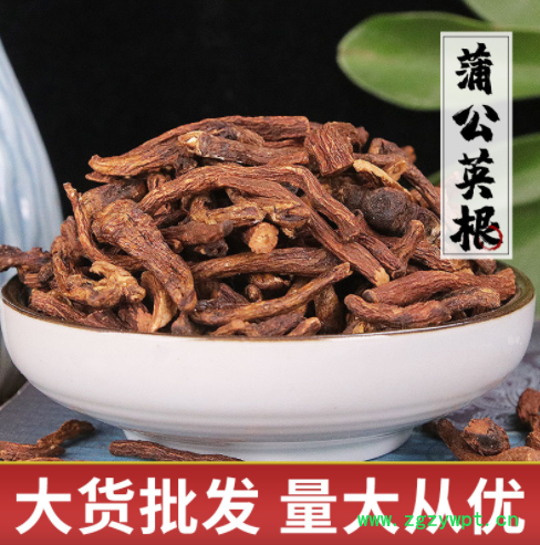 蒲公英根 源头产地 新货现货 货量充足 中药材批发量大从优