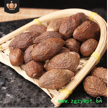 批发供应胖大海广西优质圆果长果胖大海 量大从优 一件代发