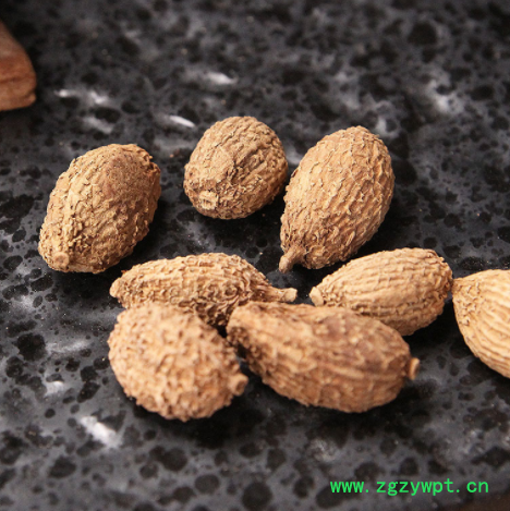 中药材砂仁批发产地直销砂仁香料调料砂仁承接订单量大从优图3