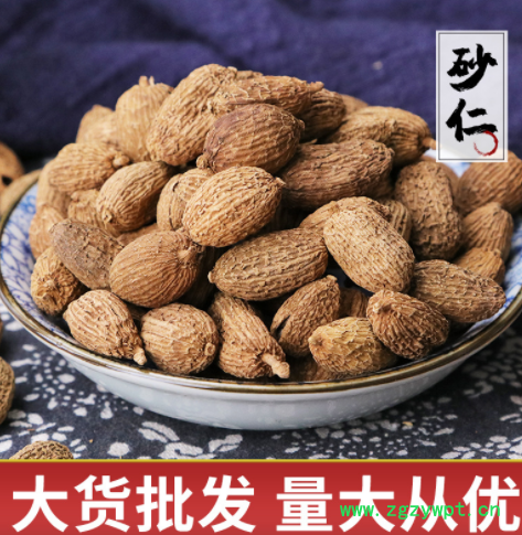 中药材砂仁批发产地直销砂仁香料调料砂仁承接订单量大从优