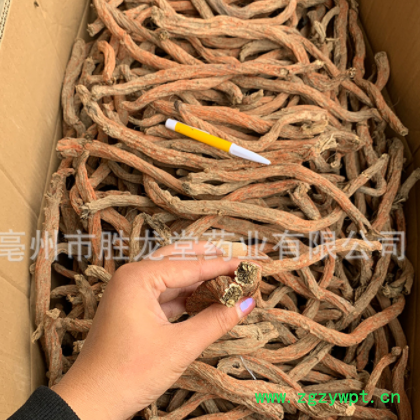 批发中药材丹参 各种规格新货黑茬发汗花草茶紫丹参粉大片丹参图2