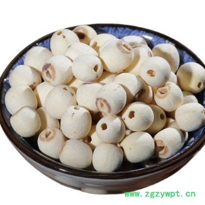 批发中药材莲子 建宁广昌新货五谷杂粮干货湘潭磨皮去芯白莲子图3