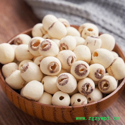 批发中药材莲子 建宁广昌新货五谷杂粮干货湘潭磨皮去芯白莲子图2