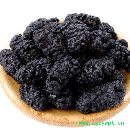 批发中药材桑葚 产地新货水洗无沙一手货源桑葚干图3