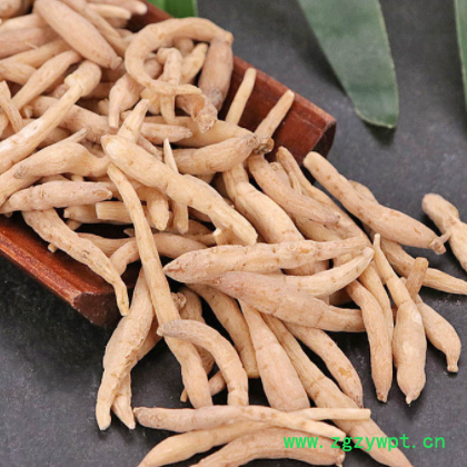 批发中药材太子参 贵州产地一手新货孩儿参各种规格太子参图2